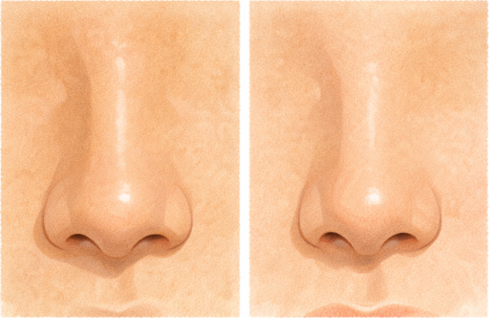 좋은 관상 샘플 일러스트(코)